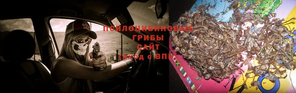 PSILOCYBIN Навашино