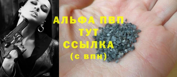 сатива Алзамай