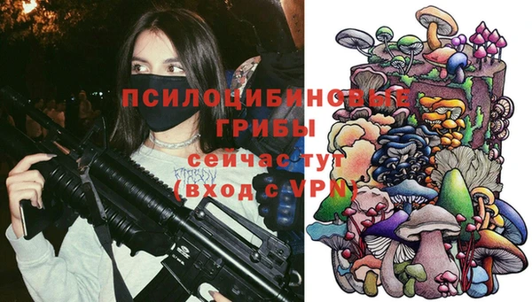 прущий лед Алексеевка