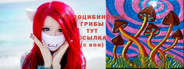 сатива Алзамай