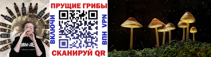 Галлюциногенные грибы мицелий  МЕГА рабочий сайт  маркетплейс клад  Трёхгорный 